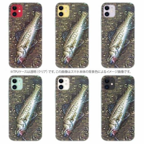 【TPU】ルアーにヒットしたスズキ