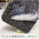 【TPU】荒武者クロダイ(チヌ)