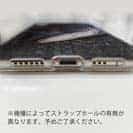 【TPU】荒武者クロダイ(チヌ)