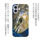 【TPU】表層の怪物シイラ