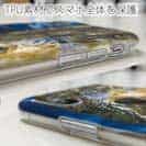 【TPU】表層の怪物シイラ