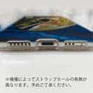 【TPU】表層の怪物シイラ