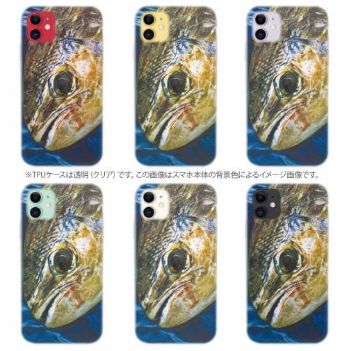 【TPU】表層の怪物シイラ