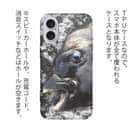 【TPU】イシダイの強靭な歯