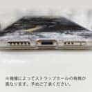 【TPU】イシダイの強靭な歯