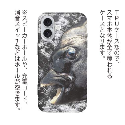 【TPU】イシダイの強靭な歯