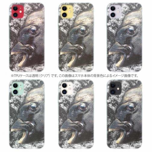 【TPU】イシダイの強靭な歯