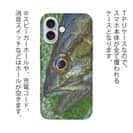 【TPU】スモールマウスバス