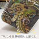 【TPU】エギングにアオリイカ