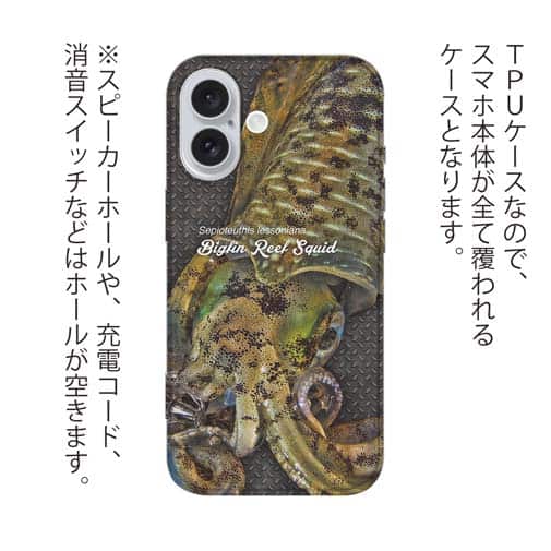 【TPU】エギングにアオリイカ