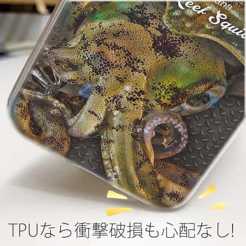 【TPU】エギングにアオリイカ