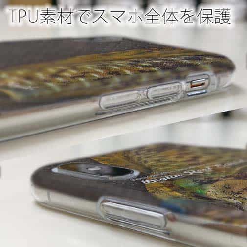 【TPU】エギングにアオリイカ