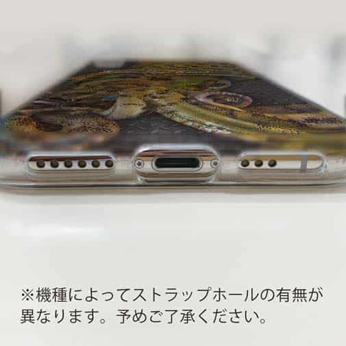 【TPU】エギングにアオリイカ