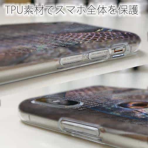 【TPU】クロダイ(チヌ)の目