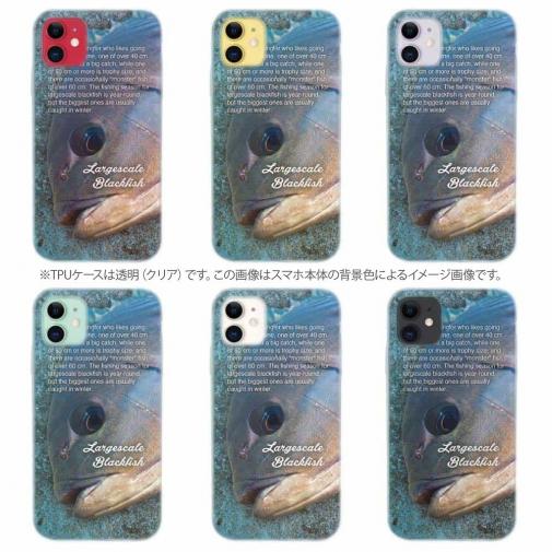 【TPU】メジナ(グレ)の目