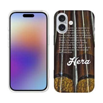 【TPU】ヘラブナ釣り