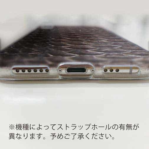 【TPU】クロダイ鱗