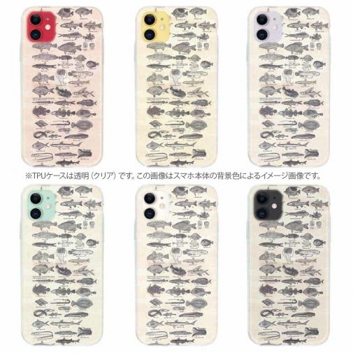 【TPU】魚図鑑　1890年版