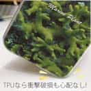 【TPU】サンゴ　#9