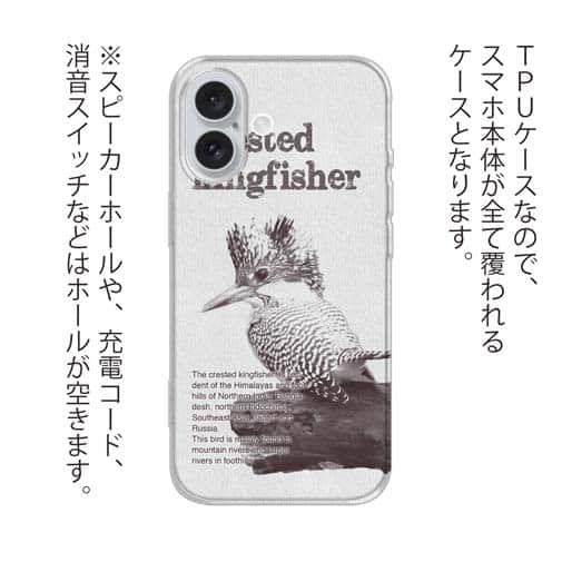 【TPU】源流の番人ヤマセミ