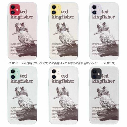 【TPU】源流の番人ヤマセミ