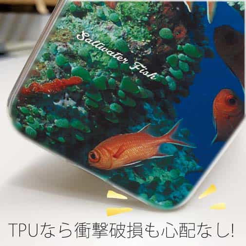 【TPU】熱帯魚　No.1　マツカサ類