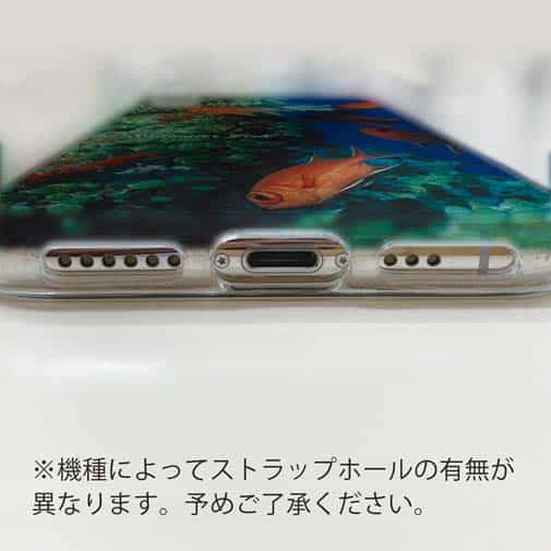 【TPU】熱帯魚　No.1　マツカサ類