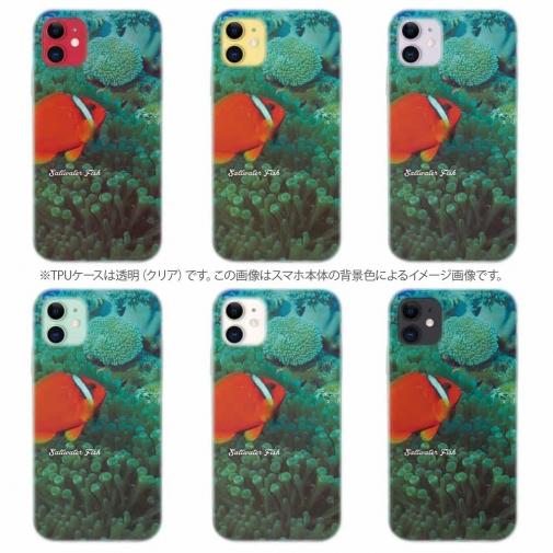 【TPU】熱帯魚　No.3　ハマクマノミ