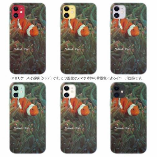 【TPU】熱帯魚　No.4　カクレクマノミ