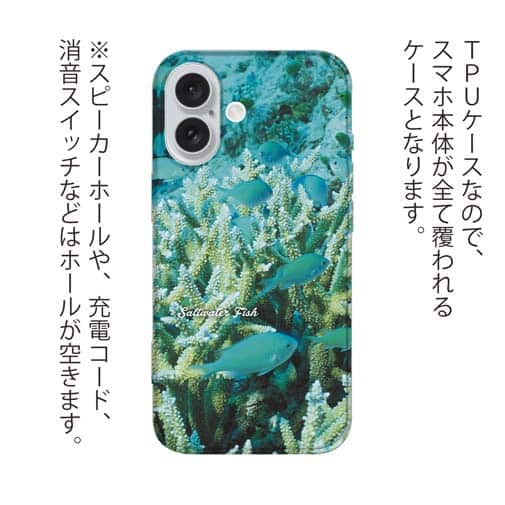 【TPU】熱帯魚　No.6　デバスズメ