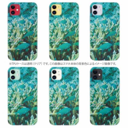 【TPU】熱帯魚　No.6　デバスズメ