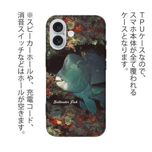 【TPU】熱帯魚　No.7　アオブダイ