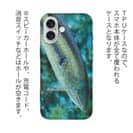 【TPU】熱帯魚　No.8　キュウセンベラ