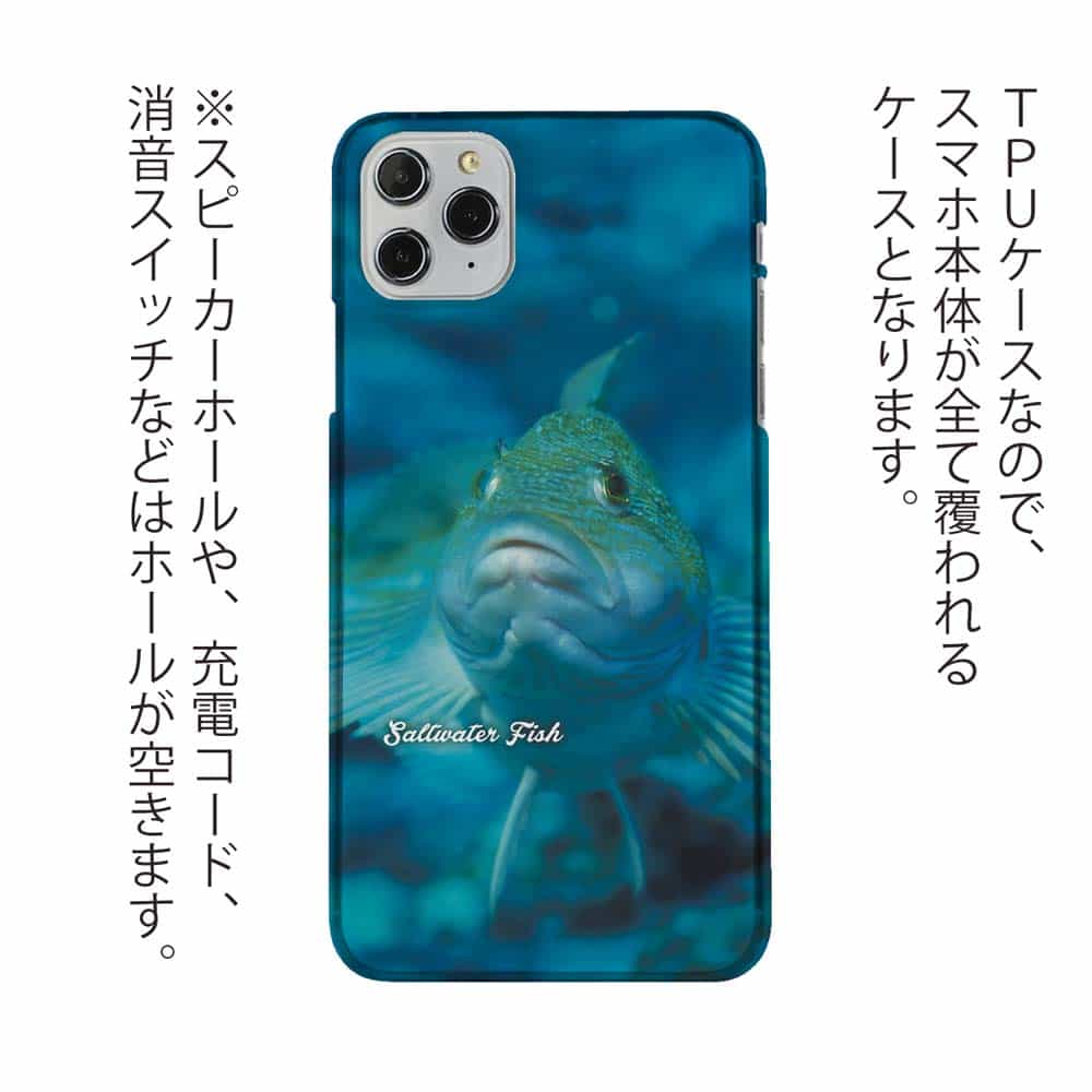 TPU】熱帯魚 No.9 クジメ / Anglers case