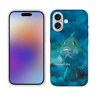 【tpu】熱帯魚　no.9　クジメ