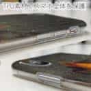 【TPU】熱帯魚　No.10　ウイゴンベ