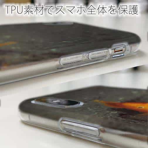 【TPU】熱帯魚　No.10　ウイゴンベ