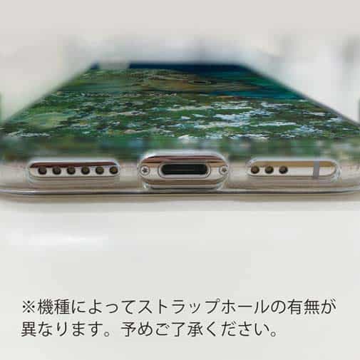 【TPU】熱帯魚　No.11　メバル