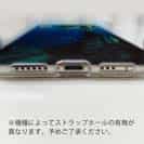 【TPU】熱帯魚　No.13　ツバメウオの群れ