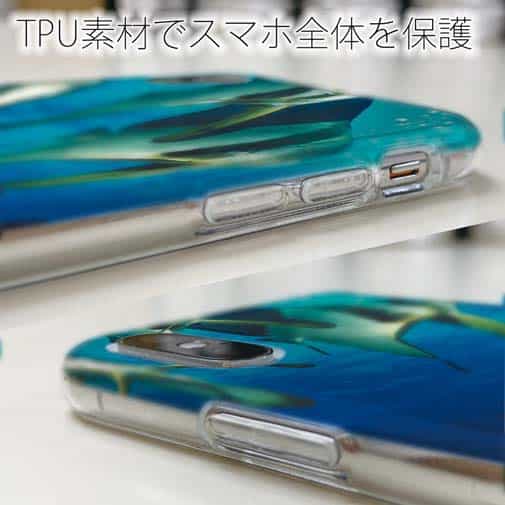【TPU】熱帯魚　No.13　ツバメウオの群れ