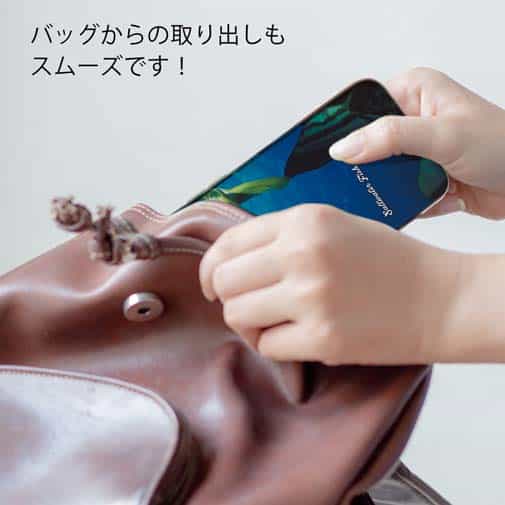 【TPU】熱帯魚　No.13　ツバメウオの群れ