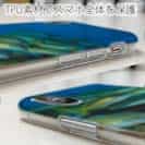 【TPU】熱帯魚　No.14　ヨスジフエダイ