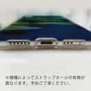 【TPU】熱帯魚　No.14　ヨスジフエダイ