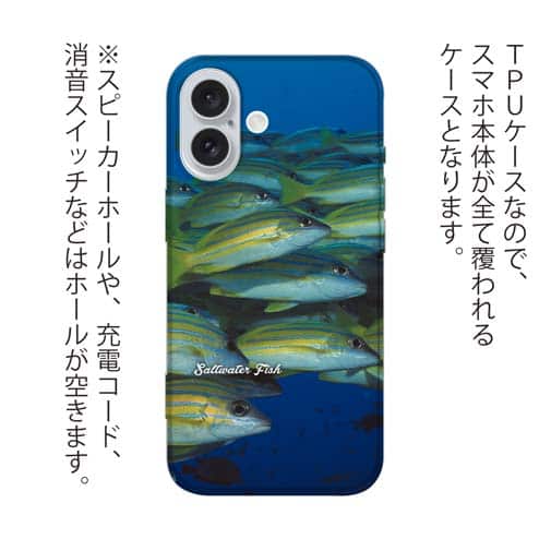 【TPU】熱帯魚　No.14　ヨスジフエダイ