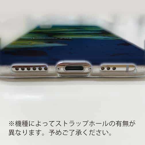 【TPU】熱帯魚　No.14　ヨスジフエダイ