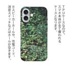 【TPU】熱帯魚　No.16　デバスズメダイの群れ2