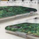 【TPU】熱帯魚　No.16　デバスズメダイの群れ2