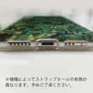 【TPU】熱帯魚　No.16　デバスズメダイの群れ2