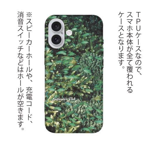 【TPU】熱帯魚　No.16　デバスズメダイの群れ2