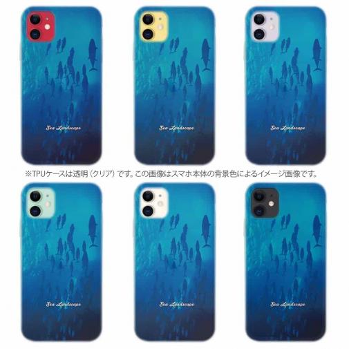 【TPU】海の風景　マグロの影